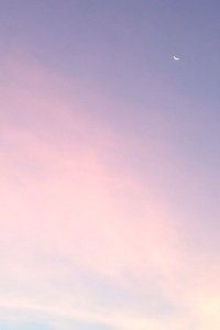 汉堡战平对手，保住不败纪录