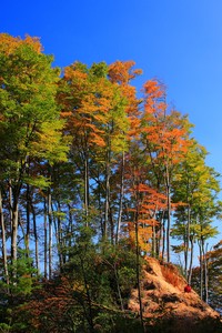 多特蒙德主场失利，遭遇连续不胜