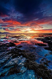 美因茨主场大胜对手，显露实力