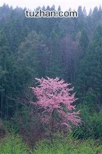 江河龙脉奏响胜利之歌，蓄势待发
