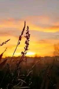 巴拉多利德主帅重整旗鼓，力争保级