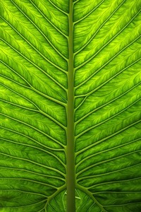 巴拉多利德主帅重整旗鼓，力争保级