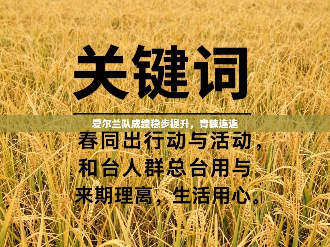 爱尔兰队成绩稳步提升,青睐连连 第2张