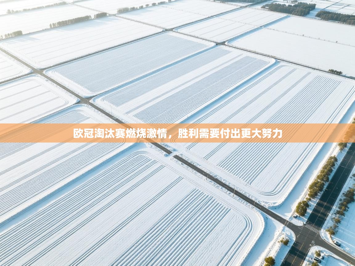 欧冠淘汰赛燃烧激情,胜利需要付出更大努力 第2张