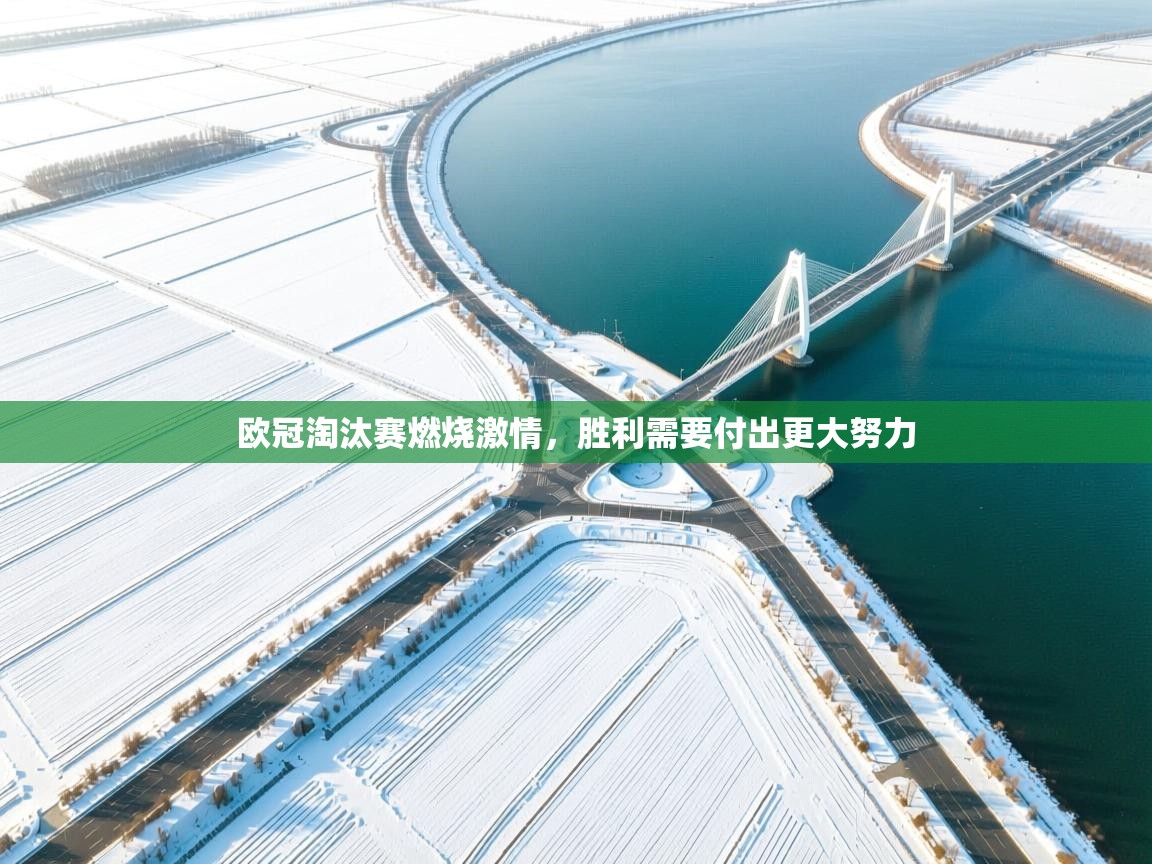 欧冠淘汰赛燃烧激情，胜利需要付出更大努力