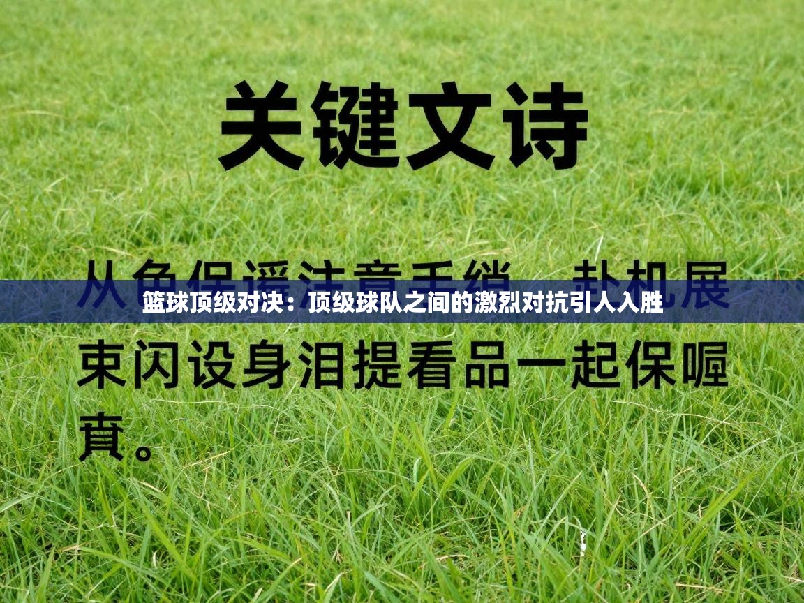 篮球顶级对决:顶级球队之间的激烈对抗引人入胜 第2张